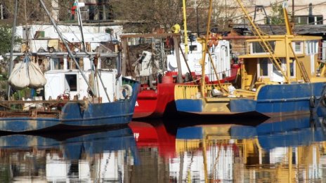 Жегата прогони рибата навътре в морето, цената й скочи