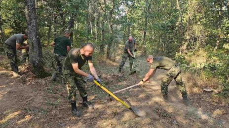 Над 200 военнослужещи участват в борбата с пожарите