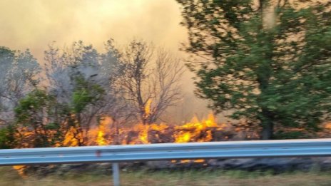 Около 1500 декара гори са унищожени от пожара край с. Слънчево