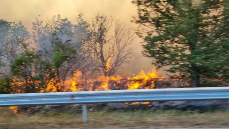 Критично: Пожар край бензиностанция в Харманли