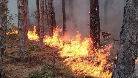 Критично: Гръцкият пожар на 600 м от границата ни