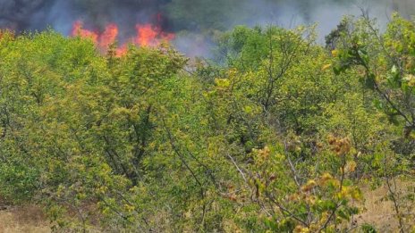 Задържаха мъж в Пещера, запалил умишлено пожар