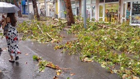 Силна буря удари Бургас, има паднали дървета 