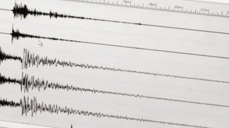 Земетресение с магнитуд 4,6 разлюля Албания тази нощ