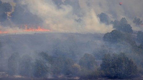 Не можело да виним BG-ALERT за Воден