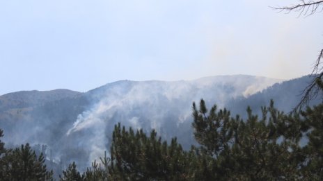 Ще искаме от ЕС самолет за гасене на пожара в планината Славянка 