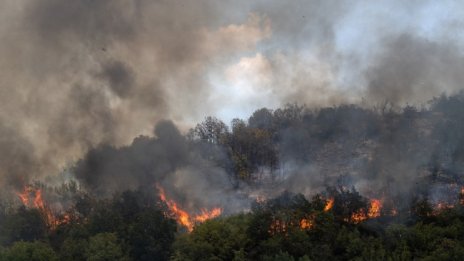 Пожарите обхванаха 12 села в източната част на РС Македония