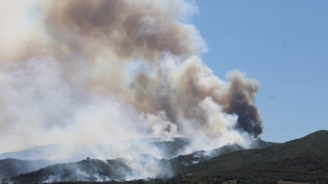 Пожарът край Струмяни е обхванал към 30 хиляди дка гора