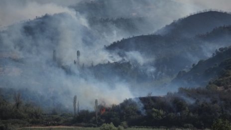 Две села са евакуирани заради пожара край Струмяни, 30 пожарни гасят огъня