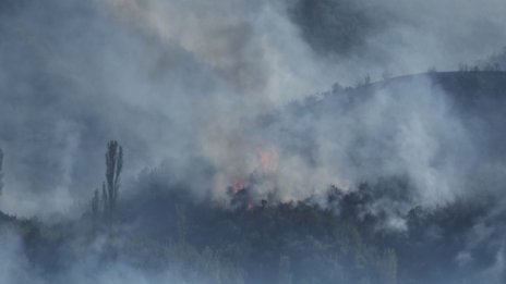 Десетки пожарникари останаха на терен в Струмяни заради огъня