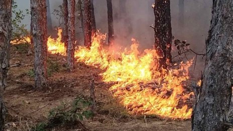 Пожарът в Славянка не е овладян, испанци помагат