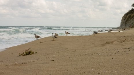 Слънчево със слаб вятър днес, температурите до 34°