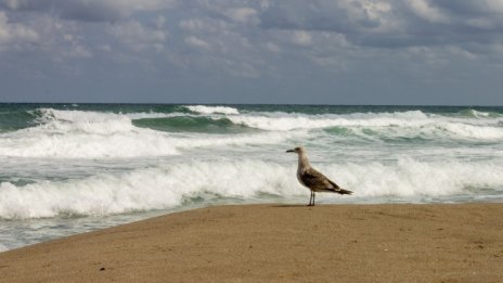 Три жертви в морето за два дни