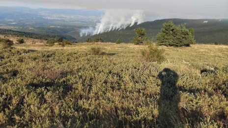 Мълния разпали нов пожар в планината Славянка