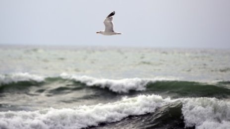 Слънчево време в петък, хубавото време остава и през уикенда