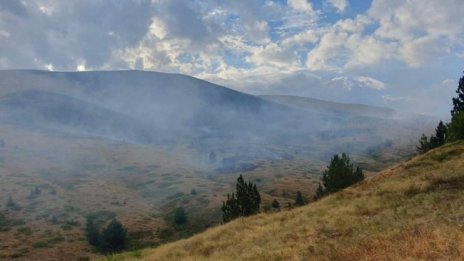 Ограничен е пожарът край пловдивското село Катуница