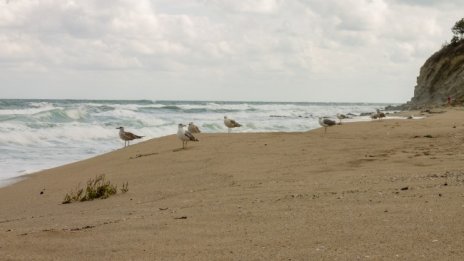 РЗИ-Бургас: Качеството на водата по Южното Черноморие е добро