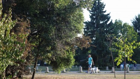 Времето в понеделник остава слънчево, но захлаждането продължава