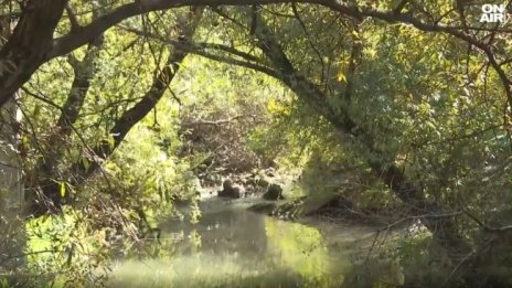 РИОСВ: Водите на Струма вече са бистри, чакаме резултатите