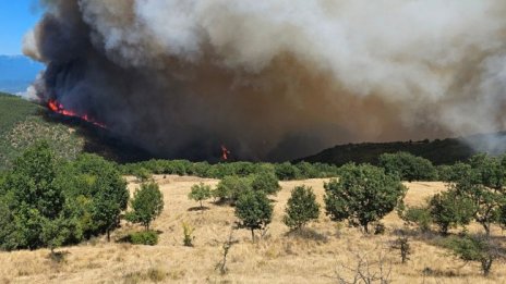 Пожар гори над асеновградско село