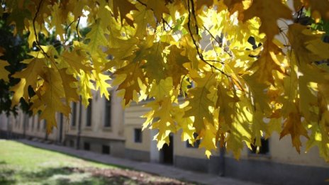 Слънчево, но хладно време днес