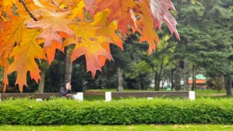 Леко захлаждане в сряда, на отделни места ще превали