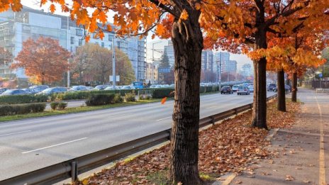 Ясно и слънчево време във вторник, сутрините остават студени