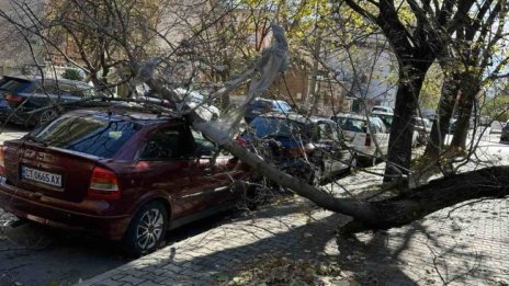 Ураганен вятър в Стара Загора събори светофар, пречупи дървета