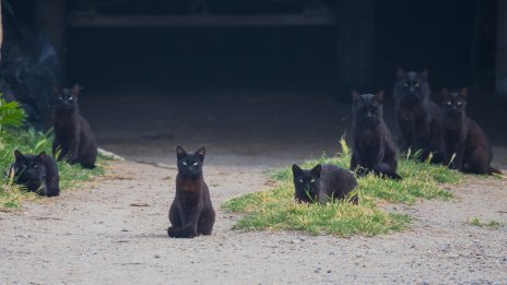 4 зодии, които скоро ще се отърват от лошия си късмет 