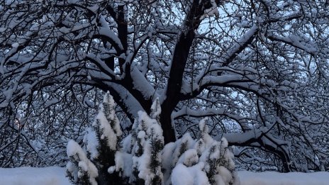 Облачно и студено и в сряда, на изток ще продължава да вали сняг