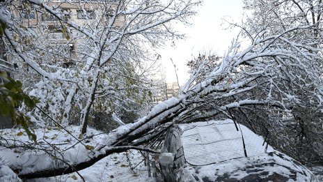 Три села в община Ивайловград са без ток