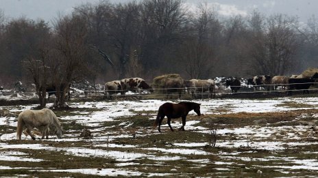  Кметът на Кюстендил: Отговорност трябва да се потърси от държавата