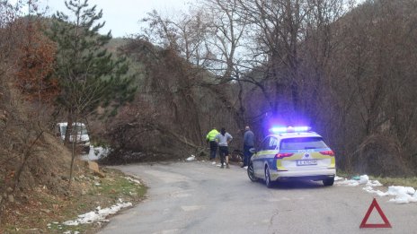 Движението за село Върбак е затруднено заради катастрофа