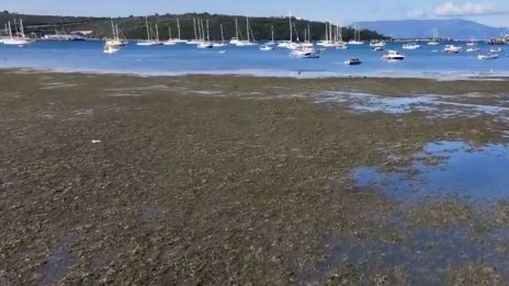 Морето в Турция се отдръпна на повече от 30 м от брега, повод за паника ли е? ВИДЕО