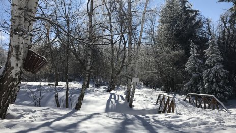 Изпращаме годината със слънце и температури до 11°