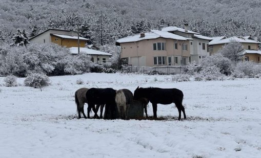 Времето утре: Студено, облачно, на отделни места ще превали 