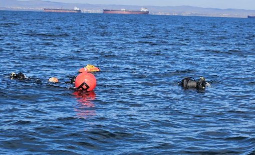 МОСВ: Не се очаква замърсяването в Черно море да достигне българските брегове