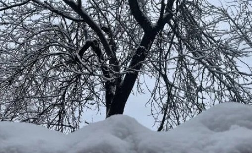 Студ, дъжд и сняг днес, ще вали и през следващите дни