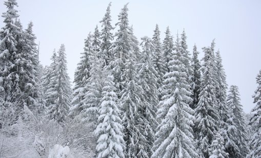 До края на годината времето ще остане слънчево 