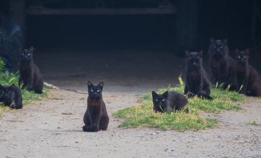 4 зодии, които скоро ще се отърват от лошия си късмет 