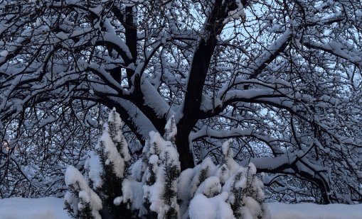 Облачно и студено и в сряда, на изток ще продължава да вали сняг