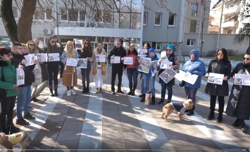  Масово отравяне на бездомни кучета в парка на Сандански