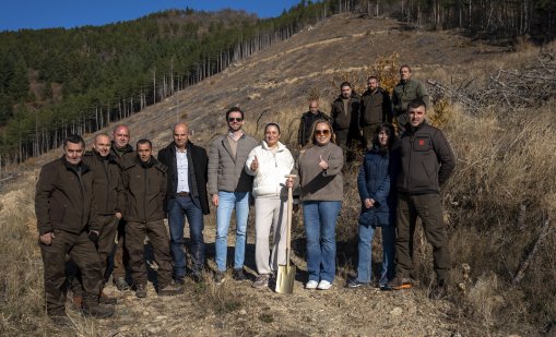 Нестле България търси новата община партньор за инициативата „Залесяваме Активно“ 2025