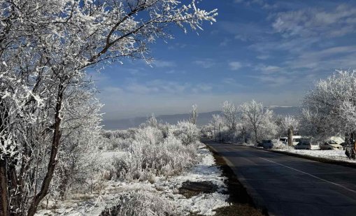 Слънчев, но ветровит петък ни очаква