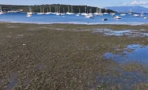 Морето в Турция се отдръпна на повече от 30 м от брега, повод за паника ли е? ВИДЕО