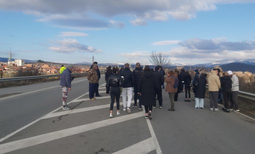 Втори пазач ще патрулира на пътя Кюстендил - Ябълково заради безпризорни коне