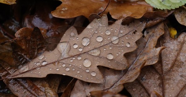 秋の霜と雪 – これが10月の天気がどうなるかです