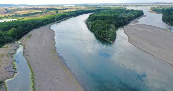 Умира ли Дунав: Реката пресъхва, пълна е с тонове мъртва риба, а лодки ...