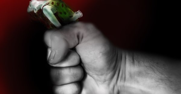 Man Detained After Repeatedly Assaulting and Attempting to Kill Girlfriend