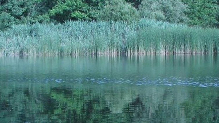 Водолази търсят двама души в язовир в Габровско